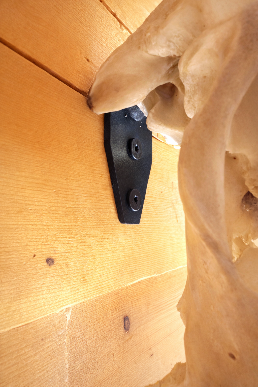 Moose + Cattle Hanger
